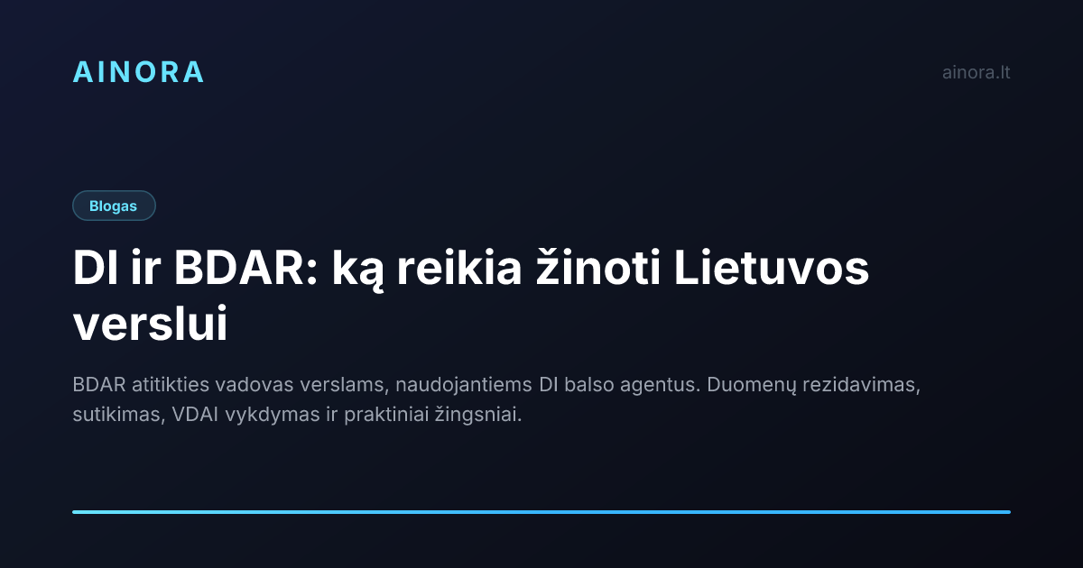DI ir BDAR: ką reikia žinoti Lietuvos verslui
