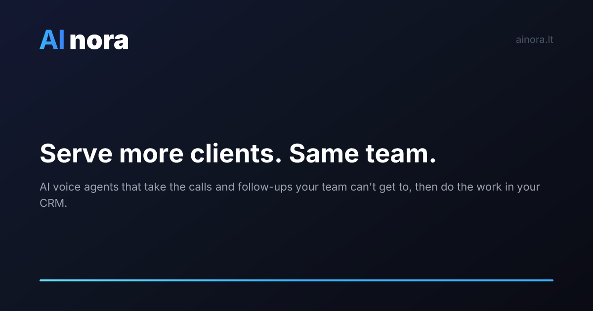 AInora — image from the vendor's website